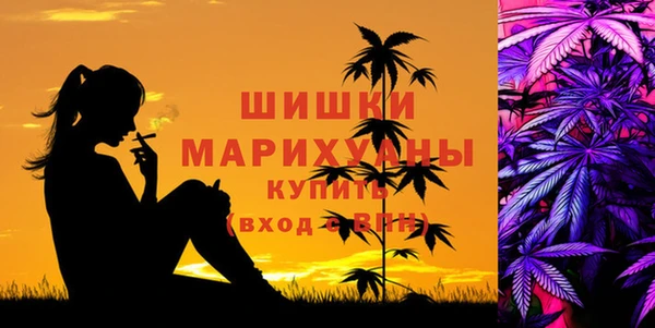 прущие грибы Новокубанск
