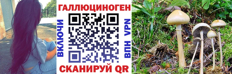 Псилоцибиновые грибы MAGIC MUSHROOMS  что такое   ОМГ ОМГ сайт  Котельниково 